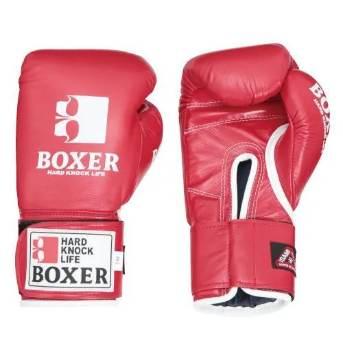 Isami Pro Boxing Gloves