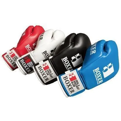 Isami Pro Boxing Gloves