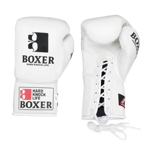 Isami Pro Boxing Gloves