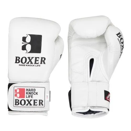 Isami Pro Boxing Gloves