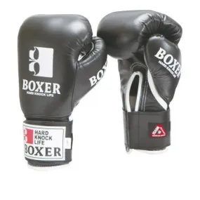 Isami Pro Boxing Gloves