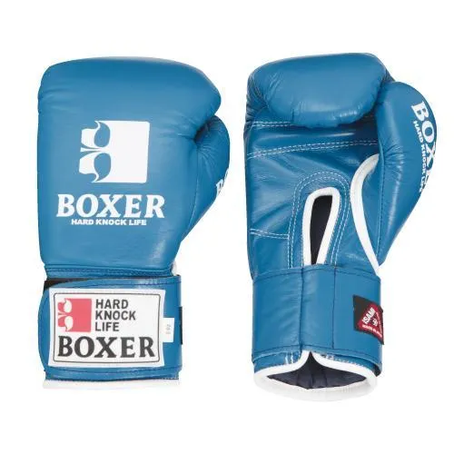 Isami Pro Boxing Gloves