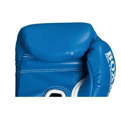 Isami Pro Boxing Gloves