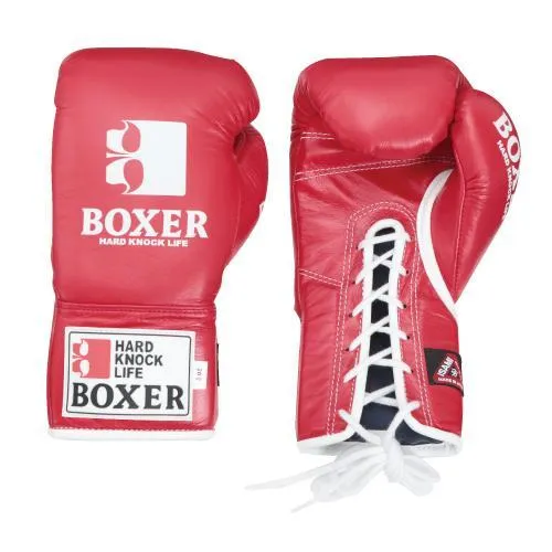 Isami Pro Boxing Gloves