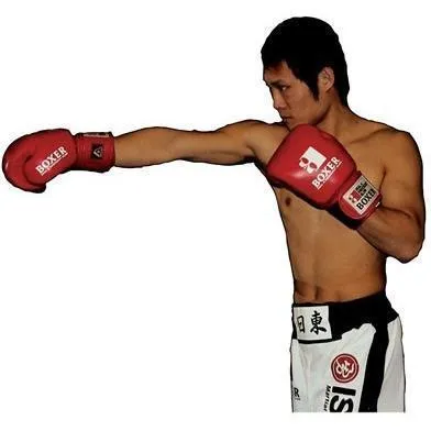 Isami Pro Boxing Gloves