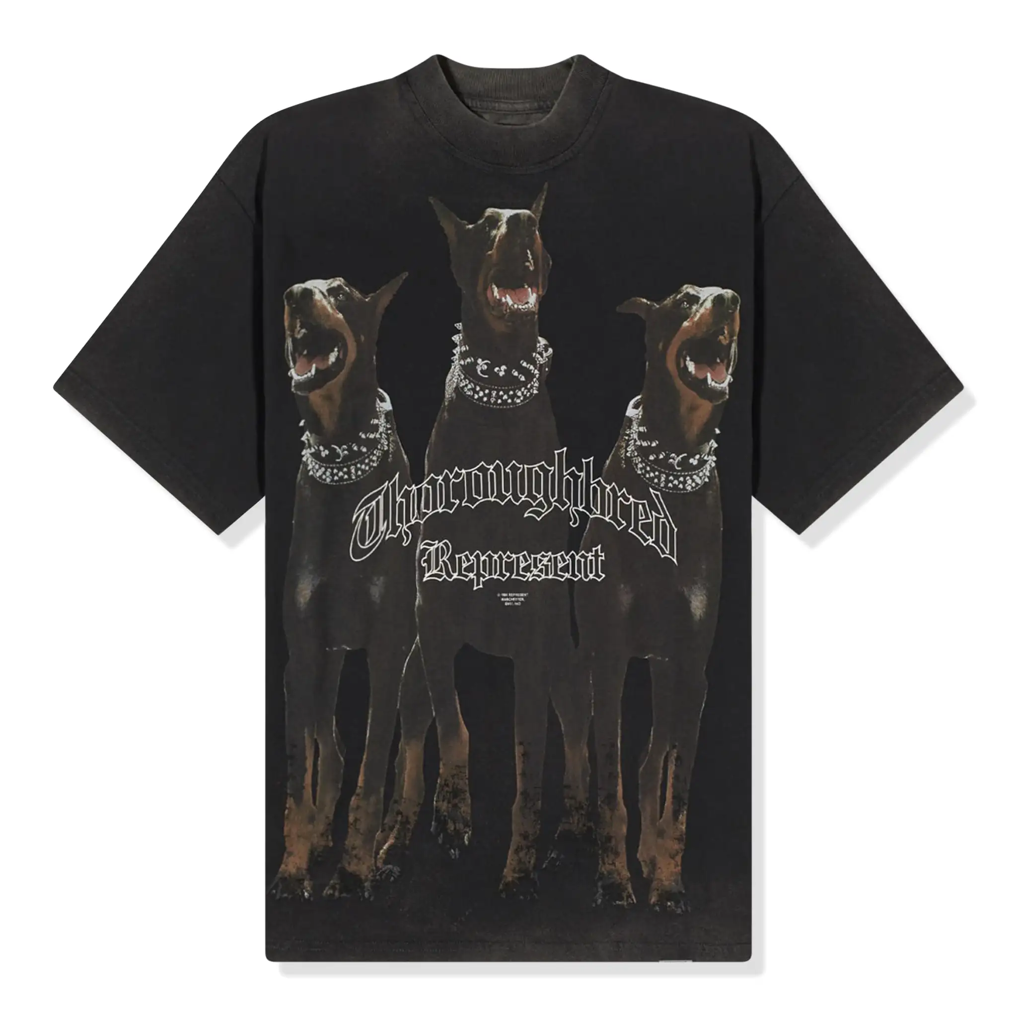 Represent Thoroughbred Vintage Black T Shirt