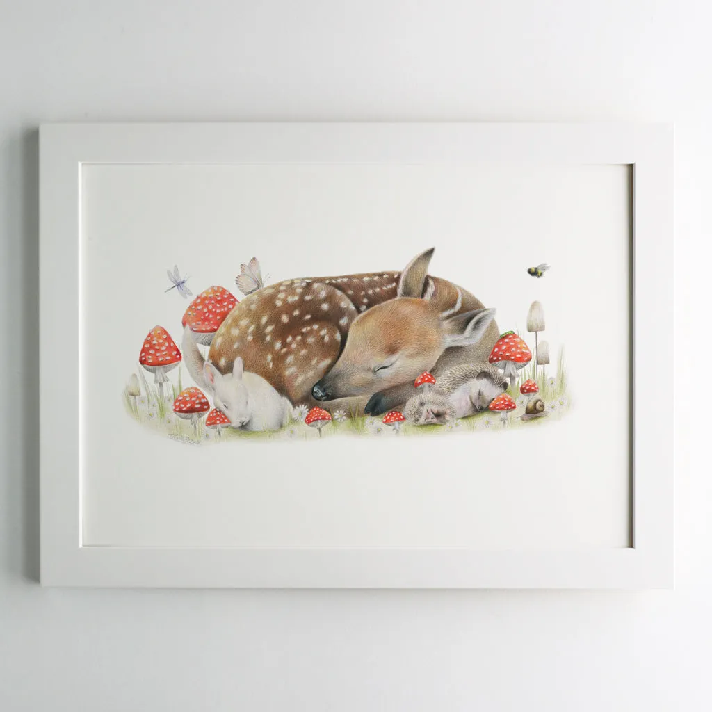 Sleeping Doe Print