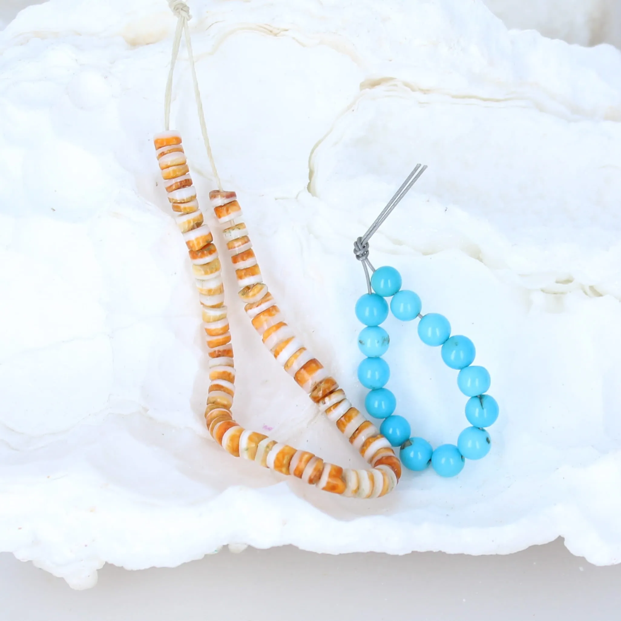 Spiny Oyster and Sleeping Beauty Turquoise Beads Set